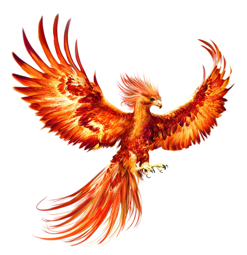 A phoenix rising!
